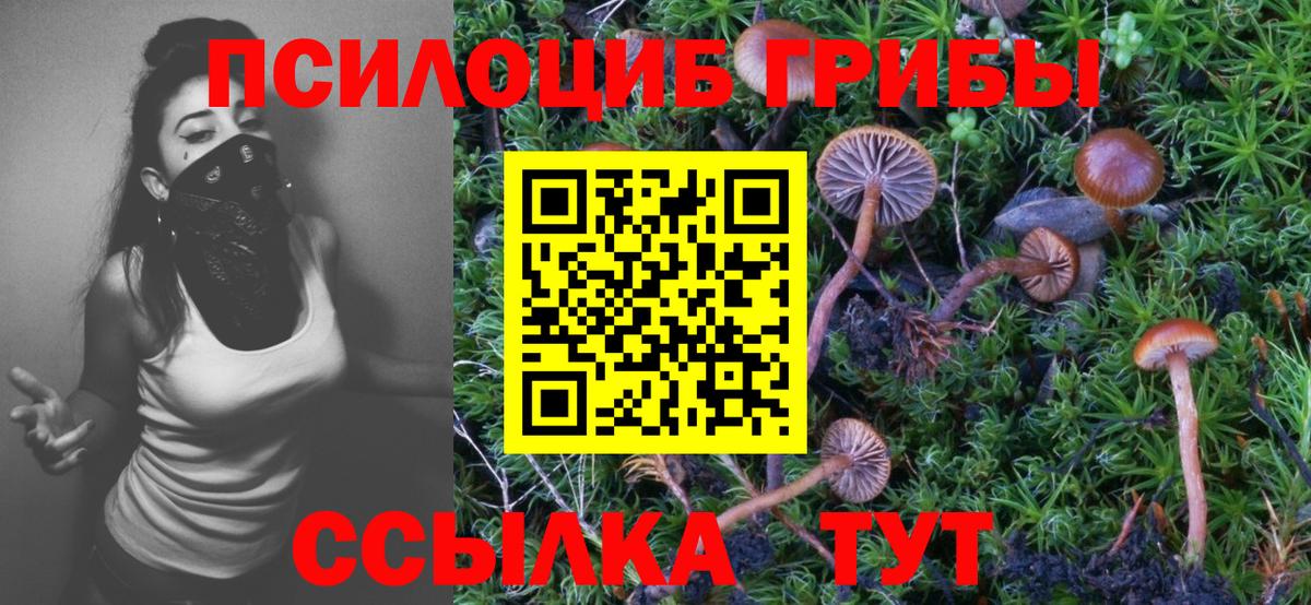 Галлюциногенные грибы Magic Shrooms Назарово