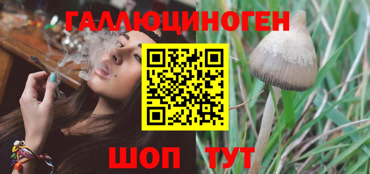Назарово  Псилоцибиновые грибы MAGIC MUSHROOMS  магазин    Вход с VPN 